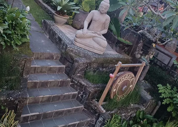 Chakra Living *