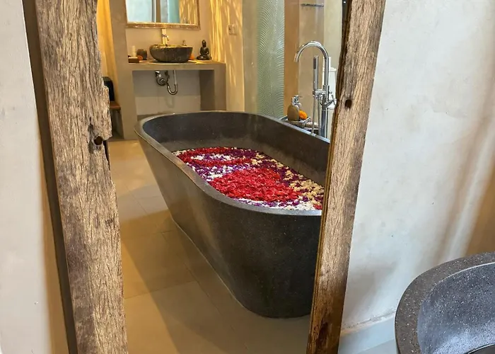 Chakra Living Hotel